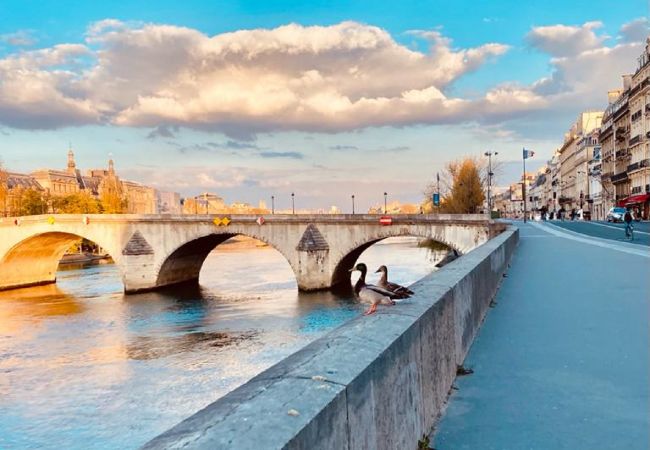 Apartment in Paris - Urban Flat 57 - Luxury 4BDR Parisian Flat in Paris Apartment in Paris - Urban Flat 57 - Luxury 4BDR Parisian Flat in Paris